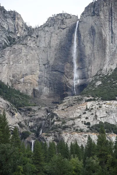 DSC_4653 (Large).JPG